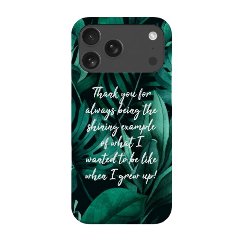 Jungle Vibes Jungle Vibes