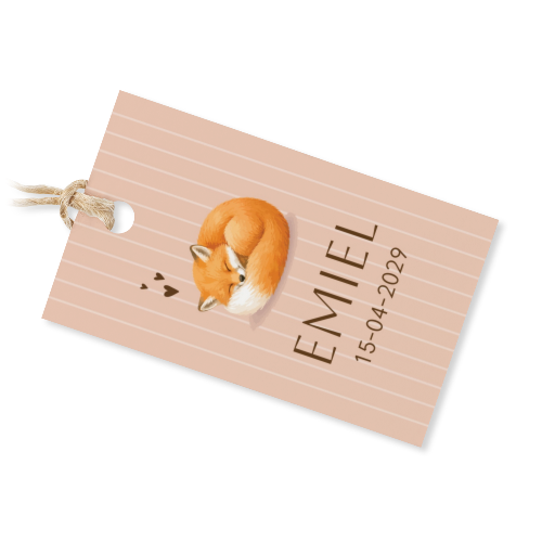 Cute Fox Stripes