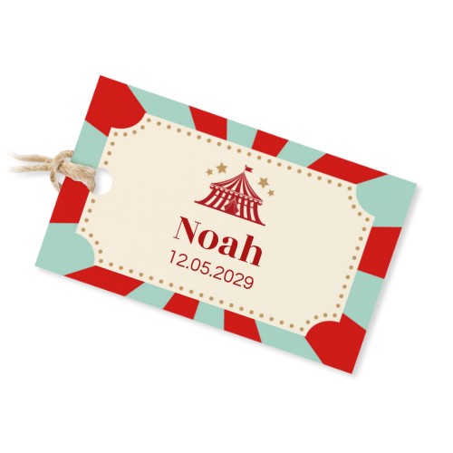 Circus Ticket Circus Ticket