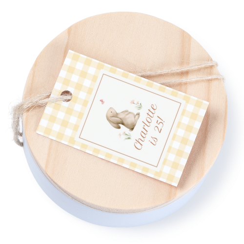 Cute Bunny Vichy Cute Bunny Vichy