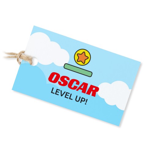 Pienet kangaspussit suorakulmaisella etiketillä - 12 kpl