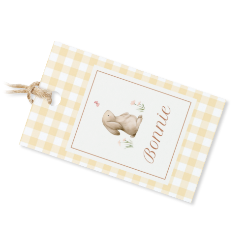 Cute Bunny Vichy