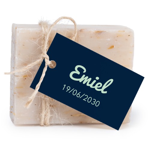 Typo Pacifico - Text Only