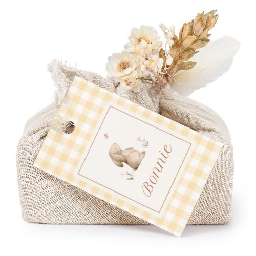 Cute Bunny Vichy