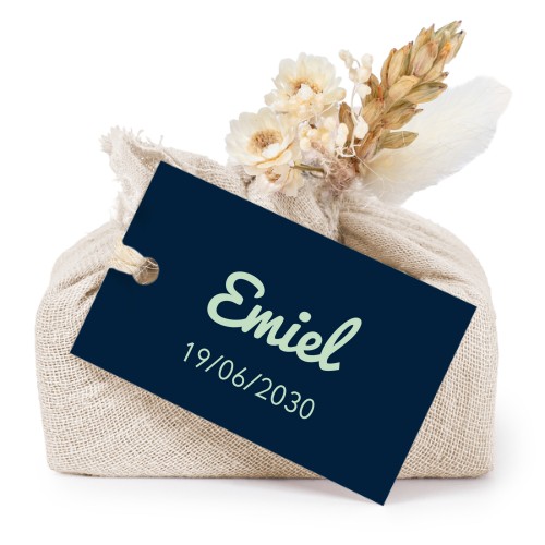 Typo Pacifico - Text Only