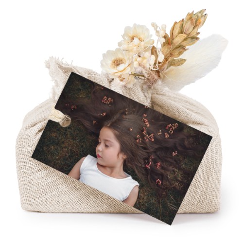 Photo Only Photo Only