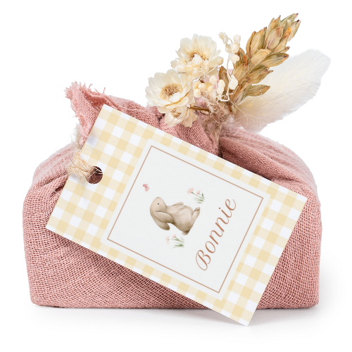 Cute Bunny Vichy