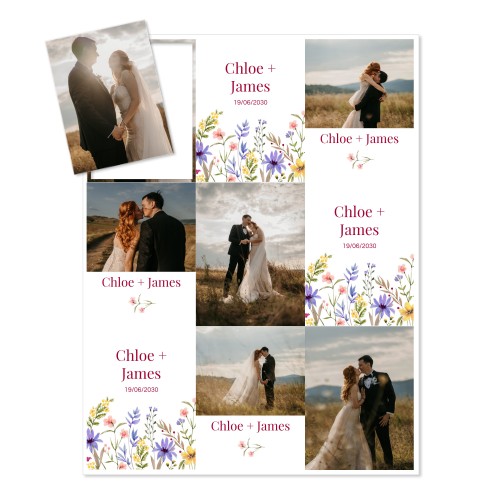 Spring Wildflowers Spring Wildflowers