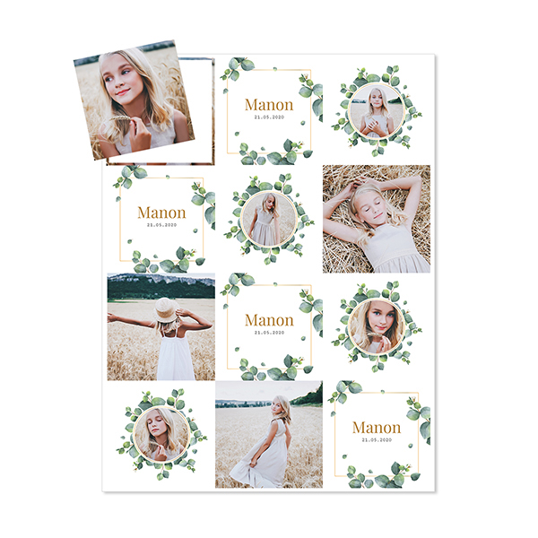 Eucalyptus Leaves Eucalyptus Leaves