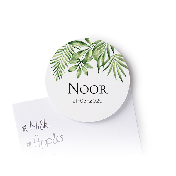 Tropical Plant Frame