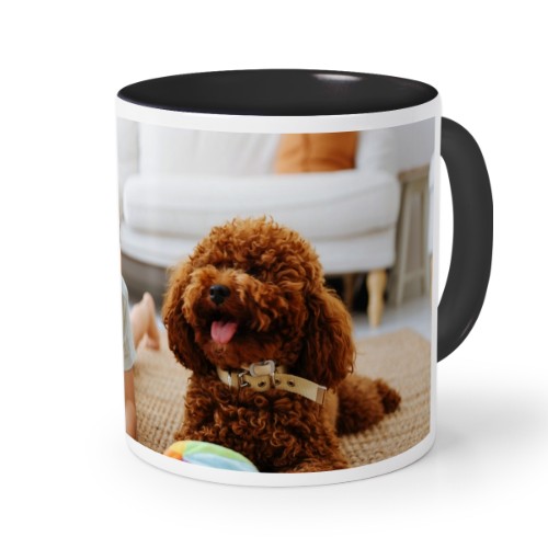 Photo Only Photo Only