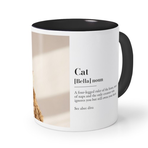 Dictionary Definition