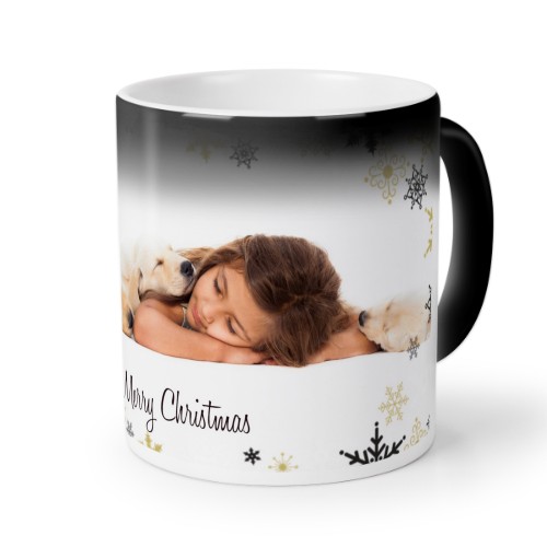 BigPhotoStars BigPhotoStars