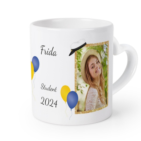 StudentFrame StudentFrame