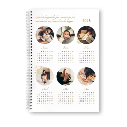 ClassyGoldLeavesCircles