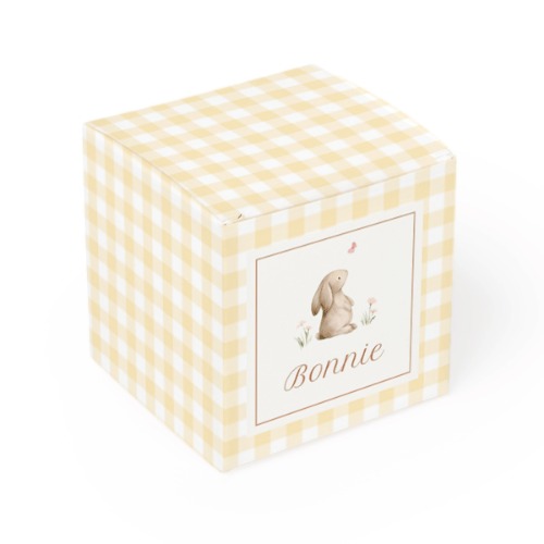 Cute Bunny Vichy