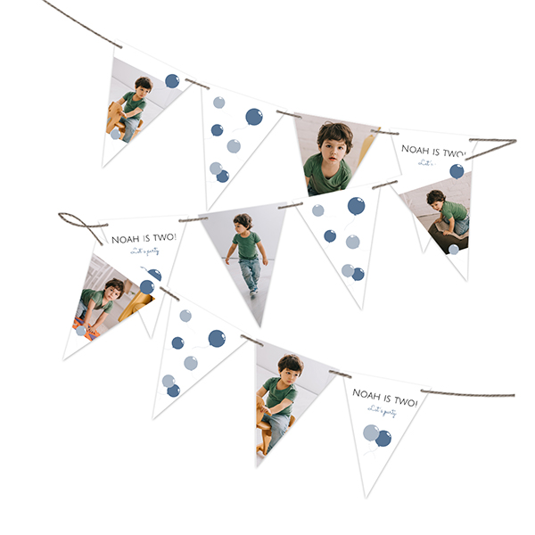 Party Flags (Set of 16)