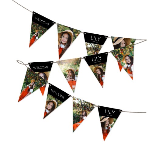 Party Flags (Set of 16) Party Flags (Set of 16)