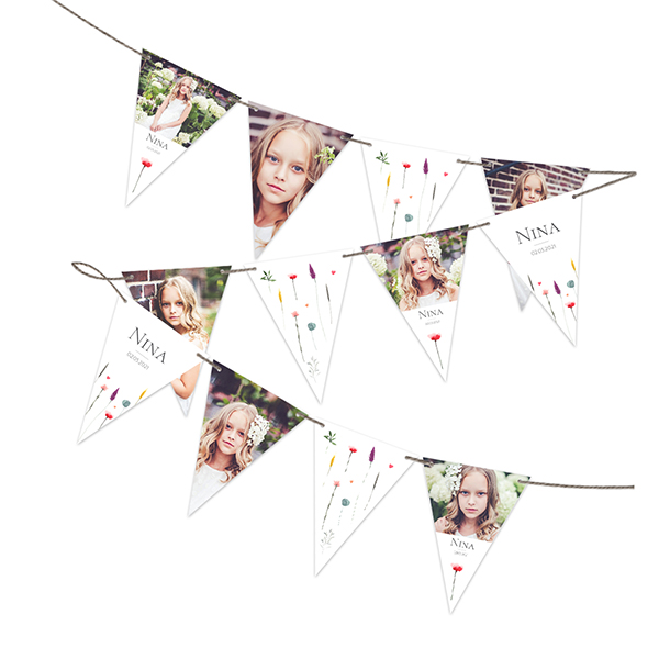 Party Flags (Set of 16)