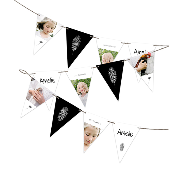 Vimplar (Set of 16)