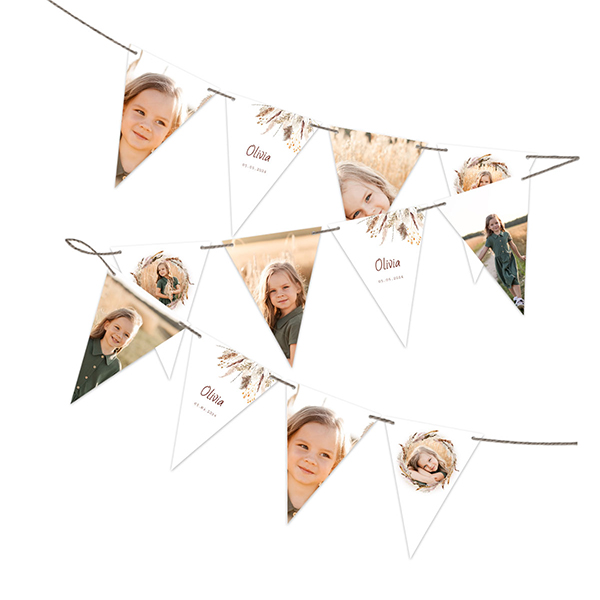 Guirlande de fanions (16 drapeaux)
