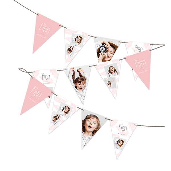Vimplar (Set of 16)