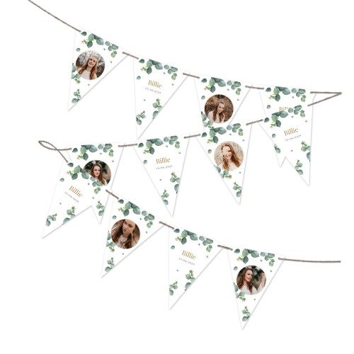 Eucalyptus Leaves Eucalyptus Leaves