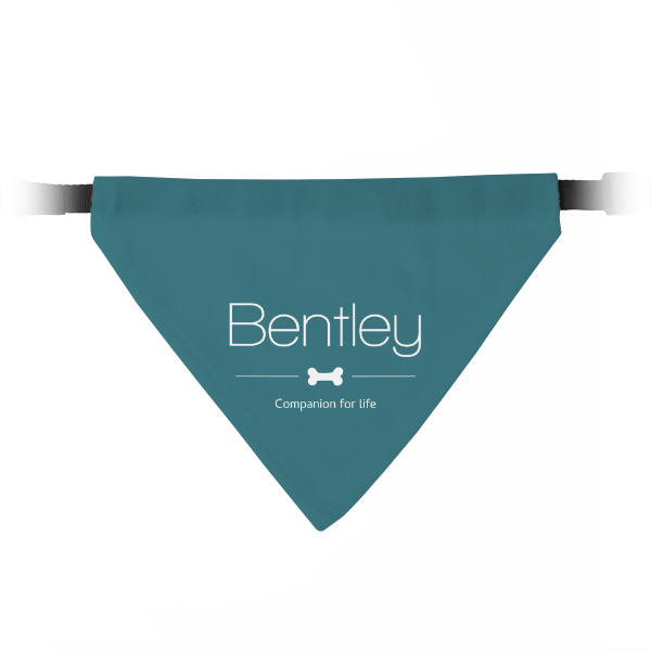 Pet bandana