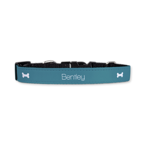 Dog Collar Medium 2cm