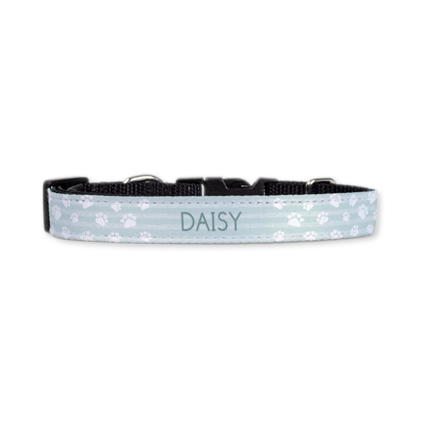 Halsband M 2 cm