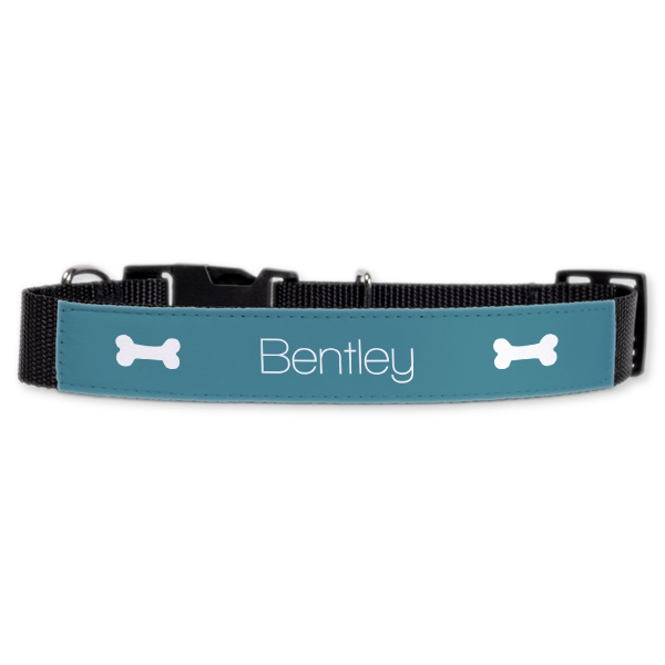 Dog Collar Large 3cm