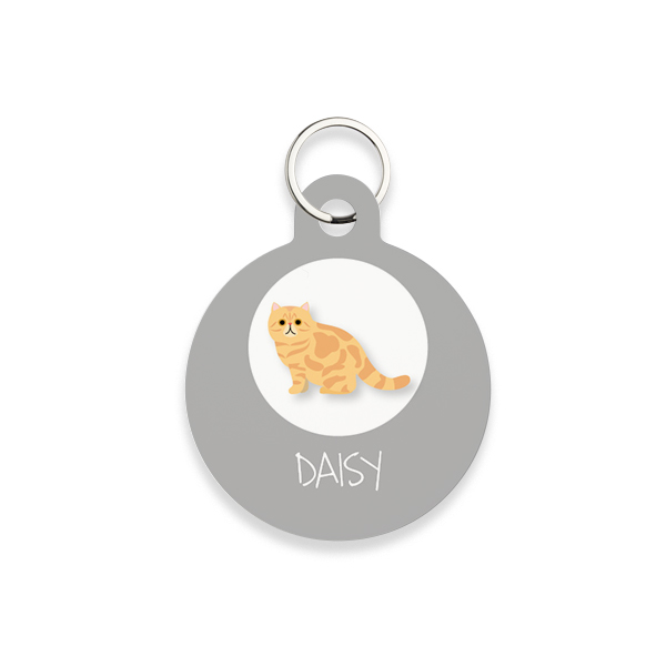 CatBreedGingerProfile CatBreedGingerProfile