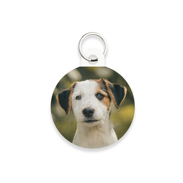 Photo Only Photo Only