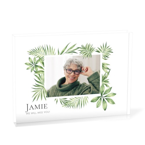 Tropical Plant Frame