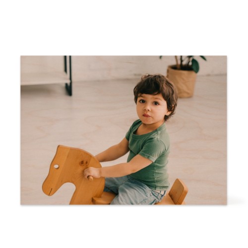 Photo Only Photo Only