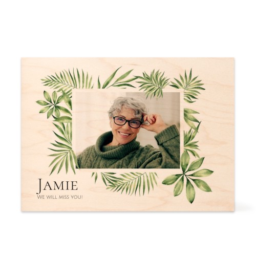 Tropical Plant Frame