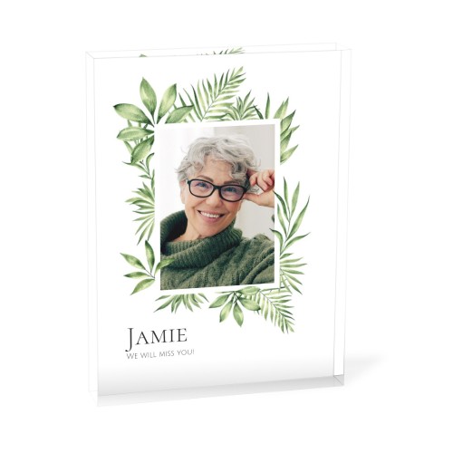 Tropical Plant Frame