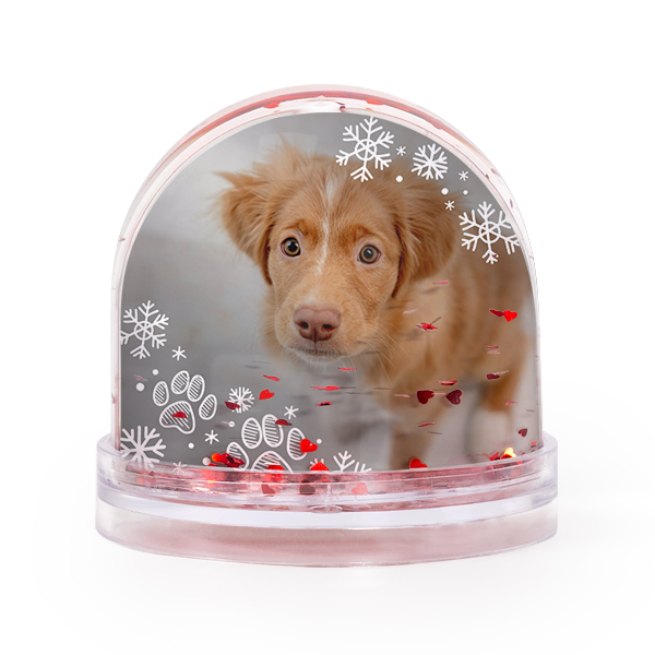 Snow globe Hearts