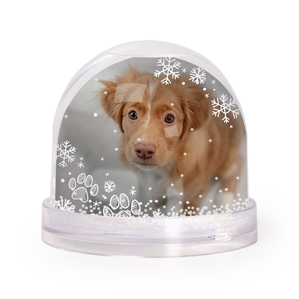 Boule à neige personnalisable