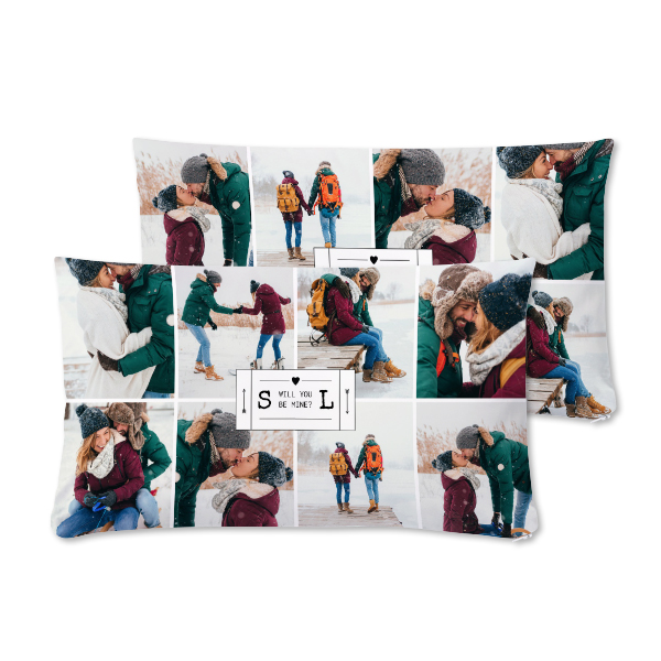 Polyester Cushion Cover and Filling Landscape Front & Back print