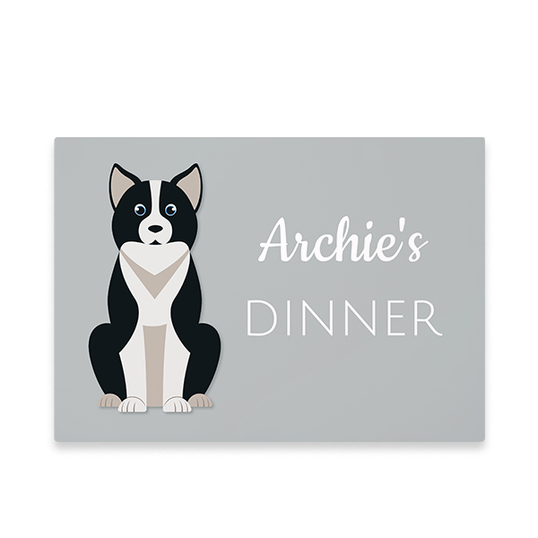 DogBreedBorderCollieFront