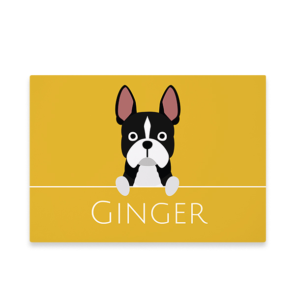 DogBreedFrenchBulldogOnLine DogBreedFrenchBulldogOnLine