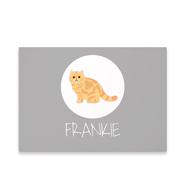 CatBreedGingerProfile