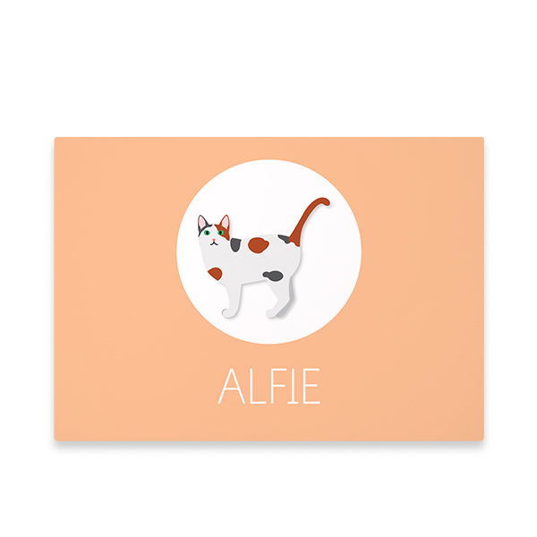 CatBreedCalicoProfile