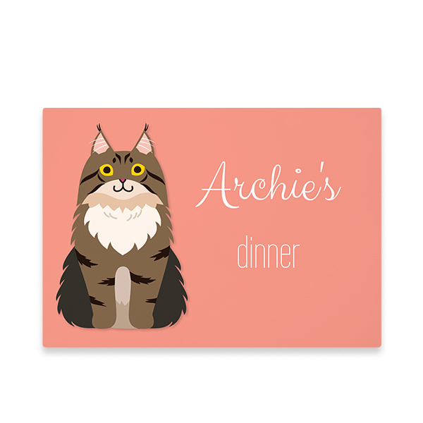 CatBreedLonghairedFront