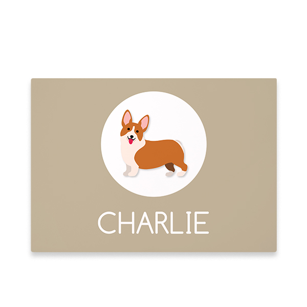 DogBreedCorgiProfile