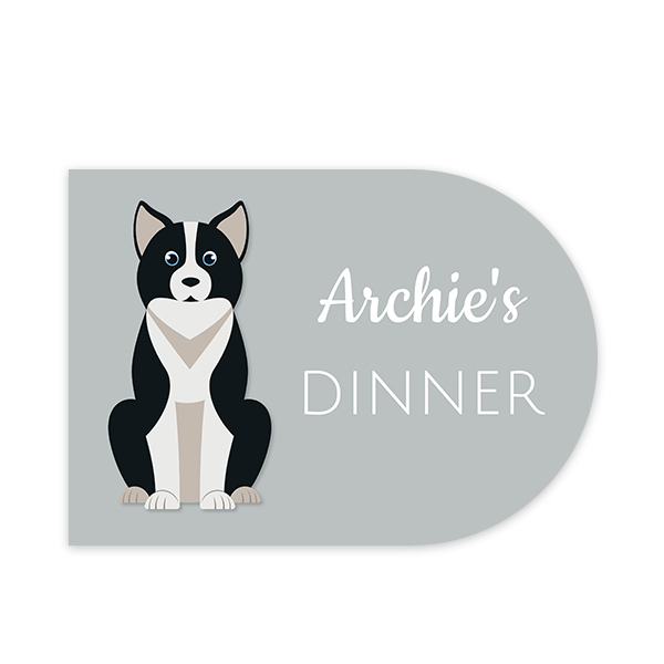 DogBreedBorderCollieFront