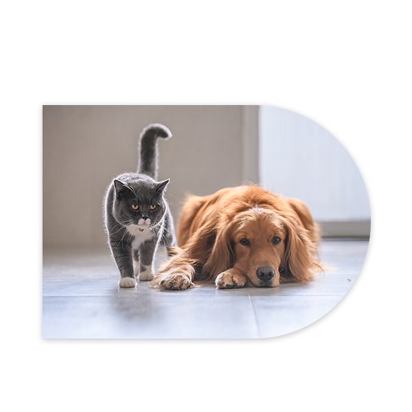 Photo Only Photo Only