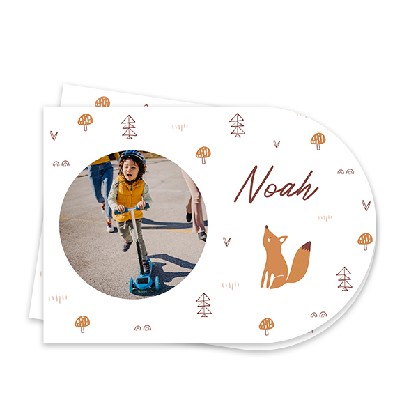 FoxPattern FoxPattern