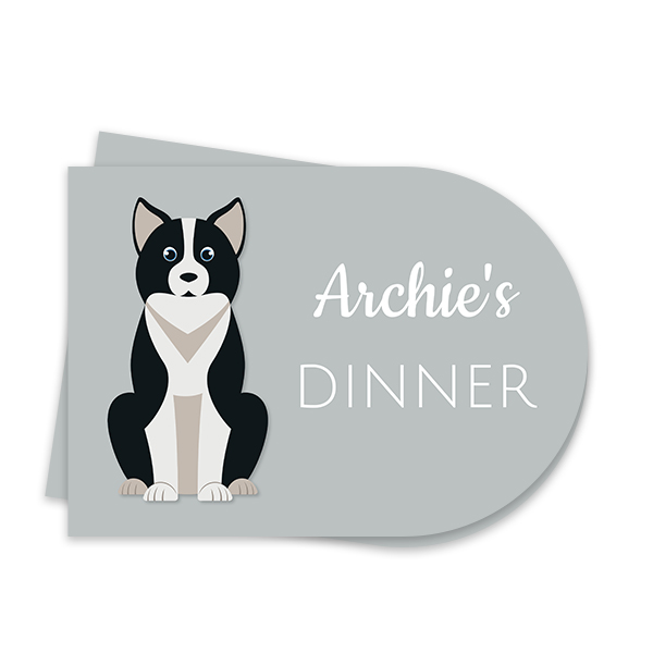 DogBreedBorderCollieFront DogBreedBorderCollieFront